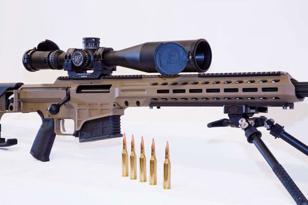 The .300 Norma Magnum: History & Performance