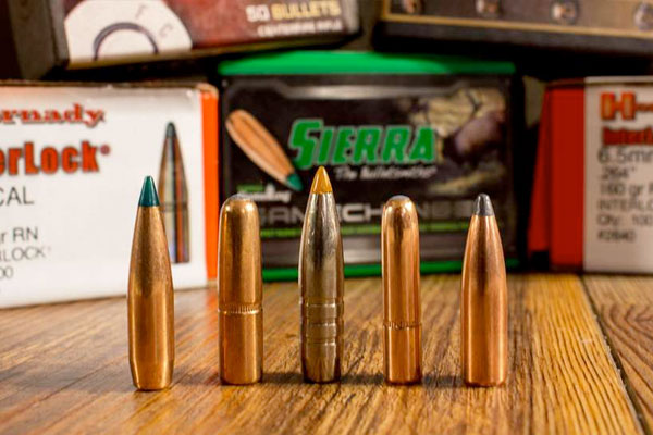 Ballistic Coefficient: Why It Matters for Hunting