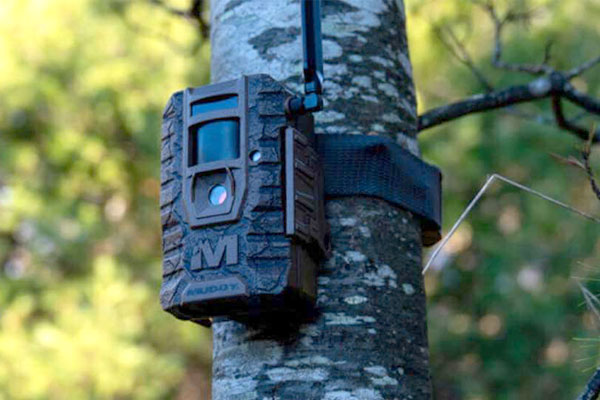 First Look: Muddy Mitigator 2.0 Cellular Trail Camera