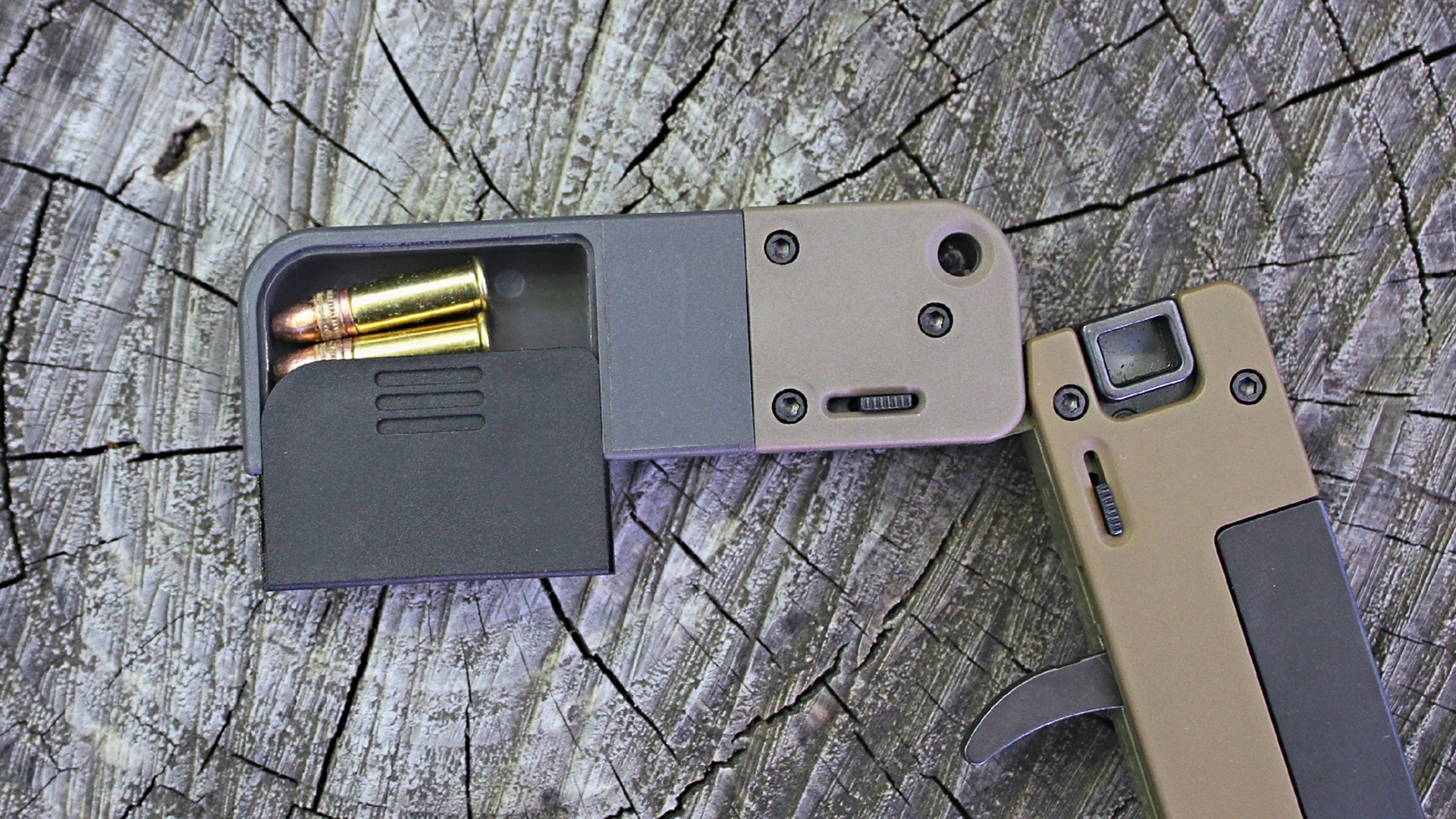 LifeCard single-shot .22 LR pistol storage compartment detail closeup ammunition rounds gold brass cartridge rimfire wood background log