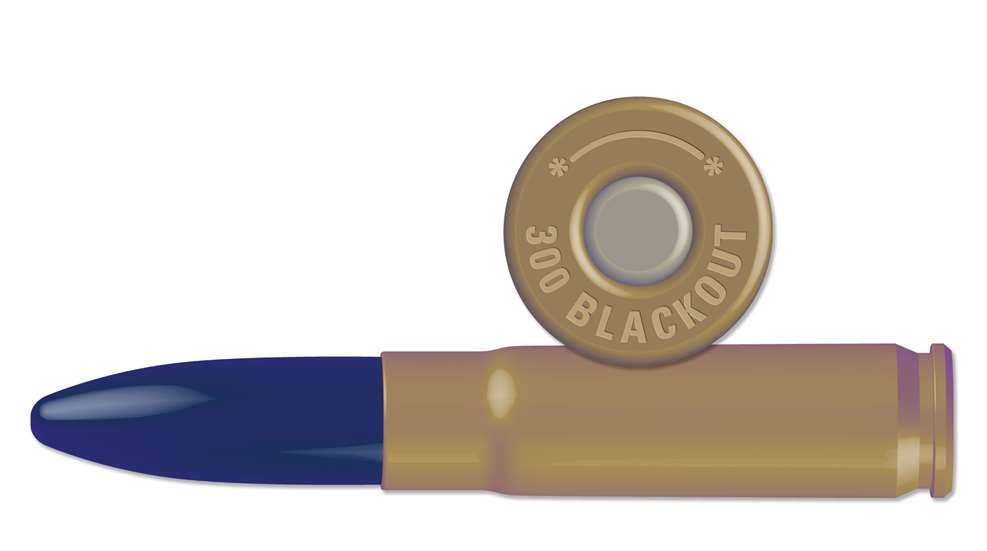 .300 Blackout illustration