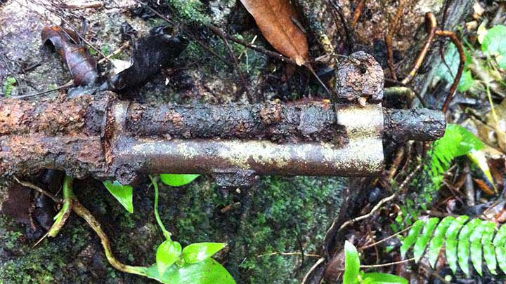 The front of the M1 Garand rifle that the author found on the Battle of Peleliu Jungle Trail during a visit there on March 28, 2017. Note that the gas cylinder is less corroded due to being made of stainless steel.