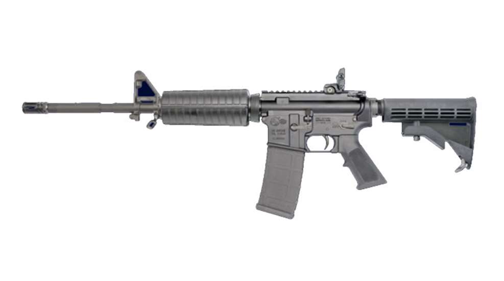 colt6920_lede.jpg