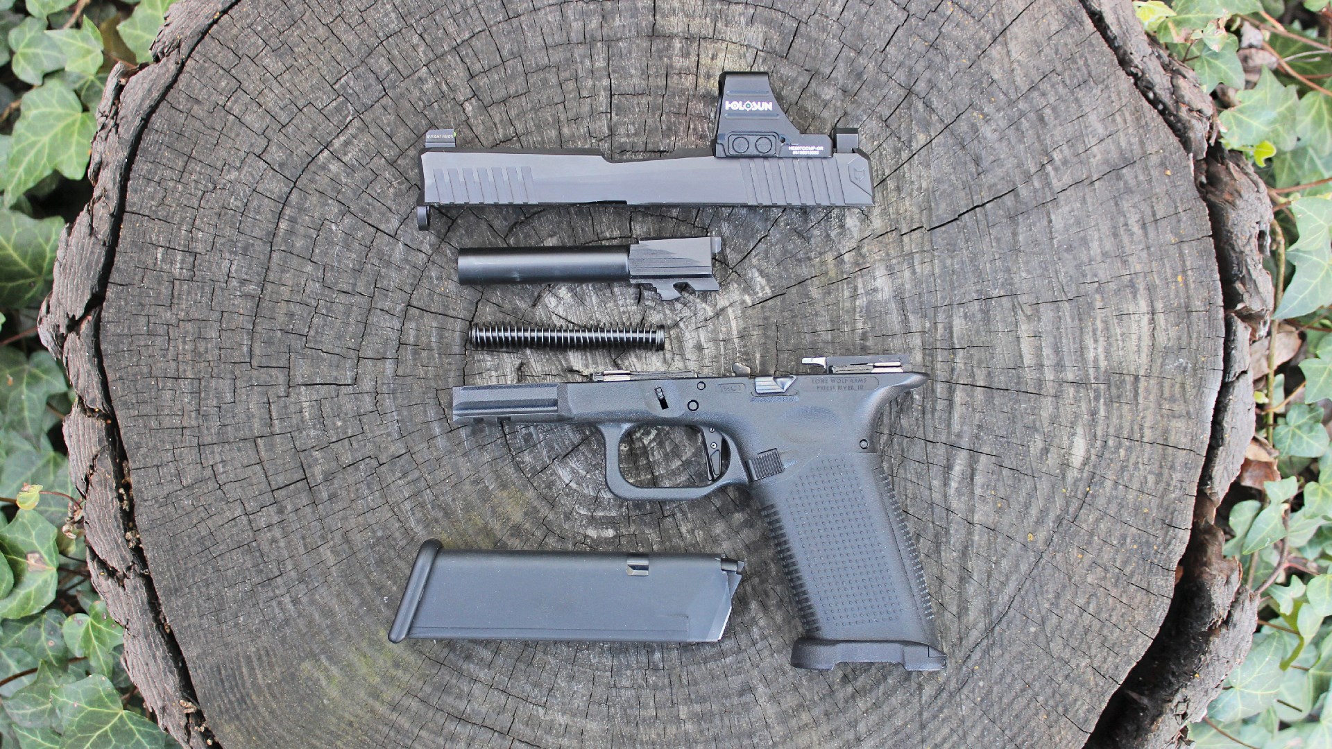 Lone Wolf Timberwolf 19X left-side view disassembled exploded view of parts slide barrel spring frame magazine arranged on round stump with ivy surrounding