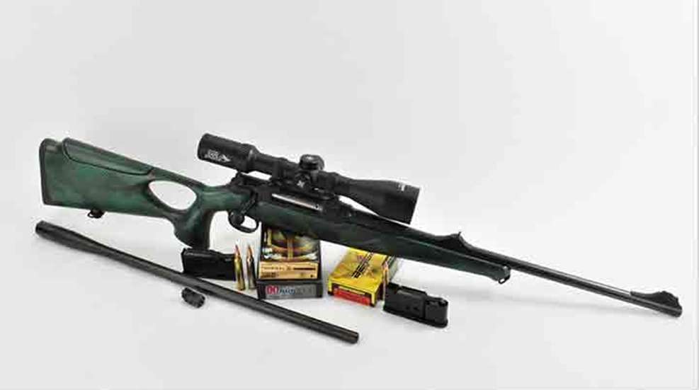 melloni-sauer404-1.jpg
