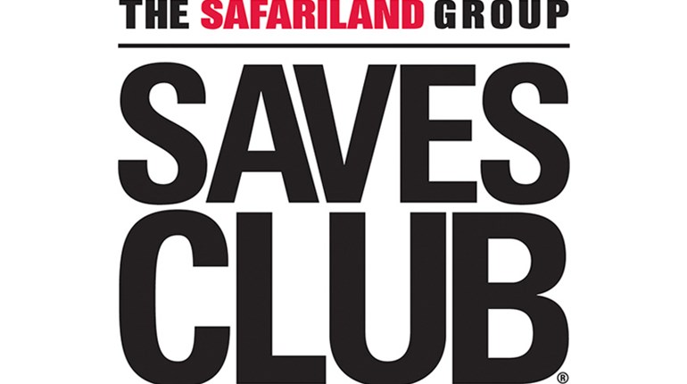 Fear & Loading: Safariland Armor Saves No. 2000 | An Official Journal Of The NRA