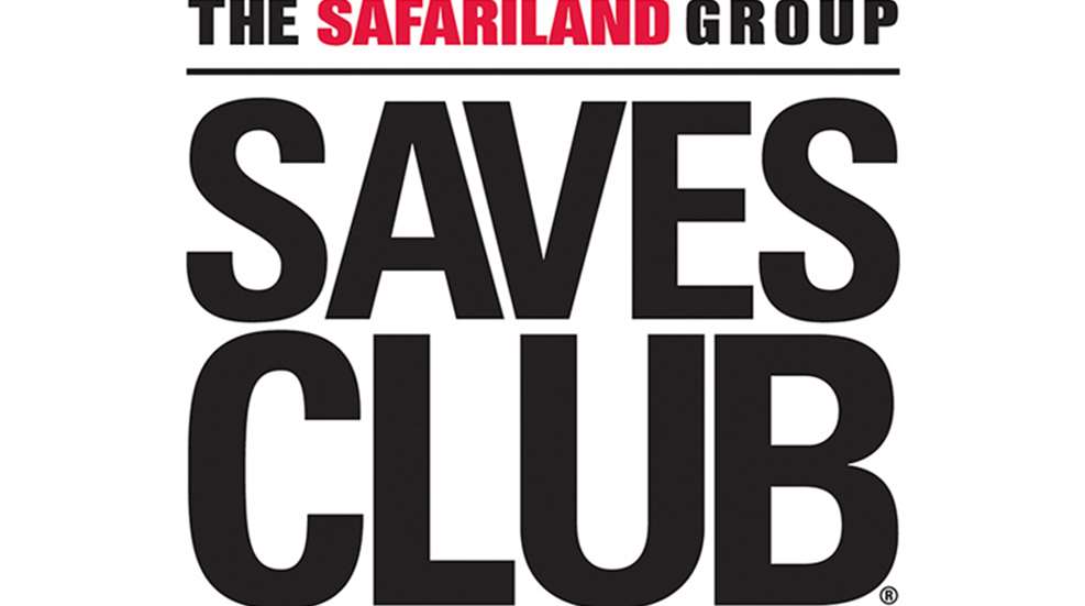 saves.jpg