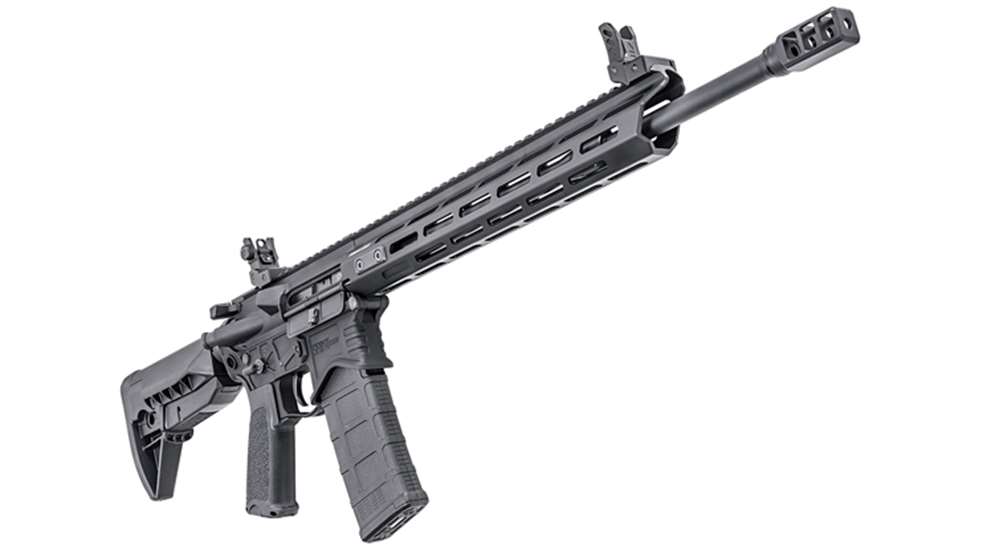 springfield_lede.jpg (1)