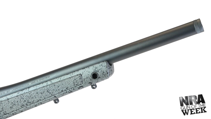 Rifle barrel and stock shown on white background.