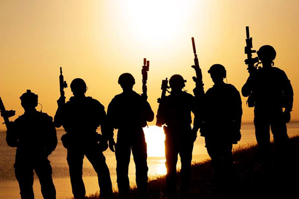 A Disarmed Army?