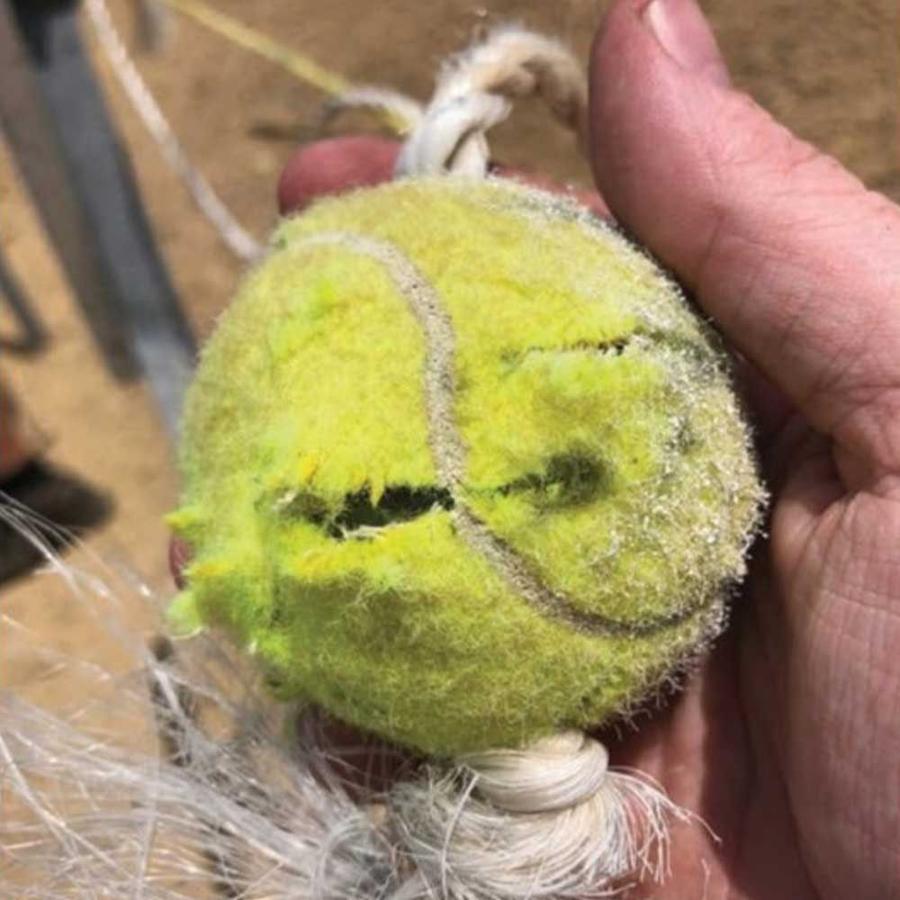 yellow tennis ball target hand outdoors holes bullet shooting
