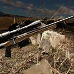 Rifle with suppressor