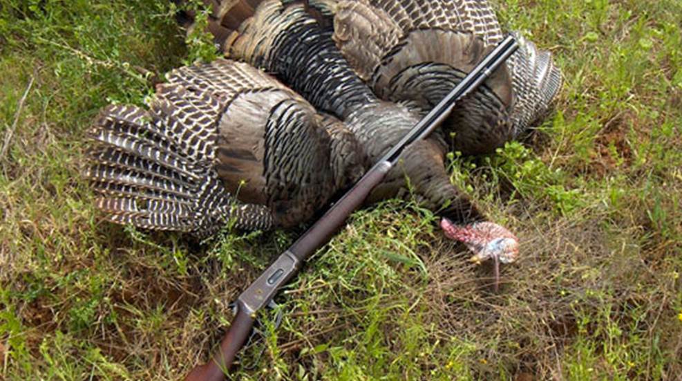 turkeygun.jpg