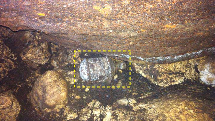 The author noticed this live Type 97 fragmentation hand grenade in a cave near Hill 300 during a visit to Peleliu in March, 2014.