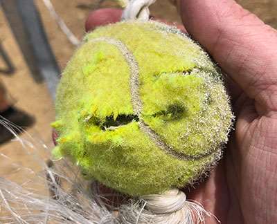 tennis ball