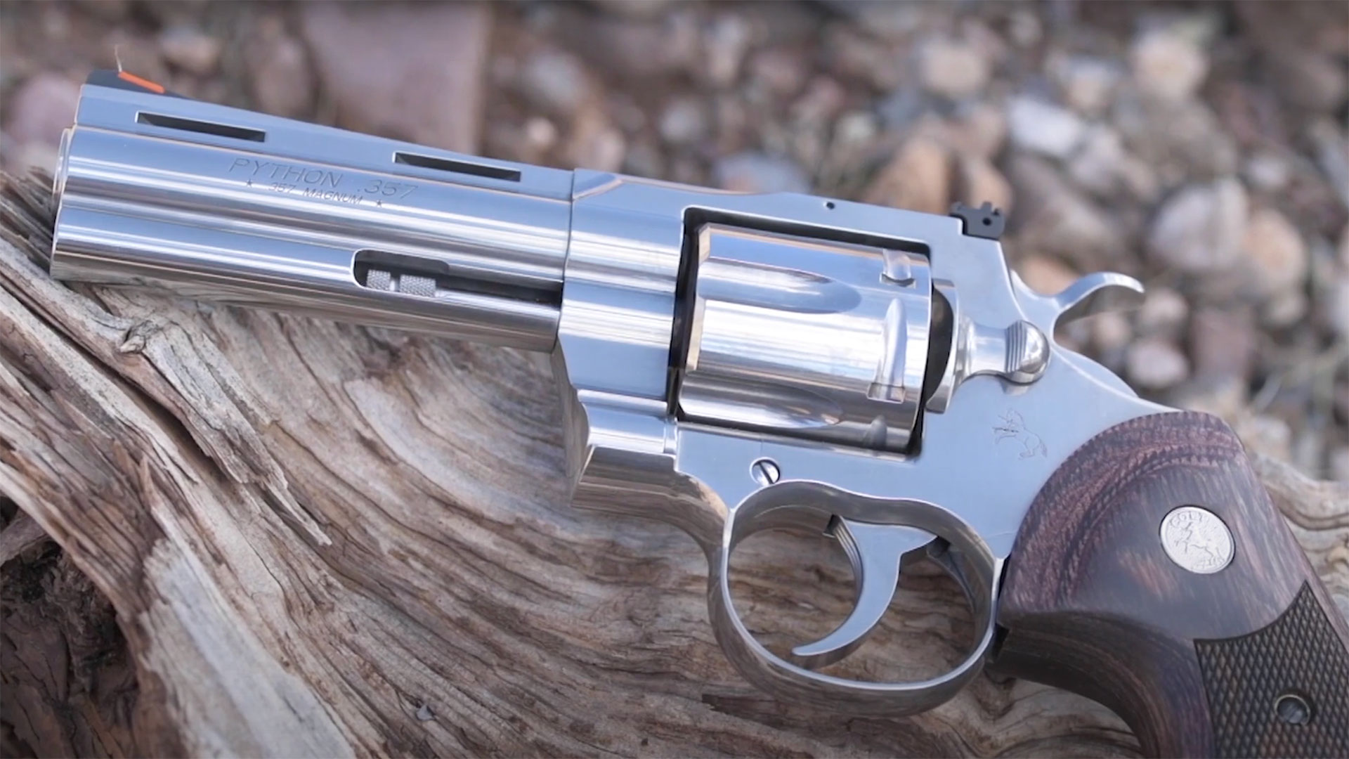 A closer look at the stainless steel barrel and frame of the new production Colt Python, as seen from the left side.