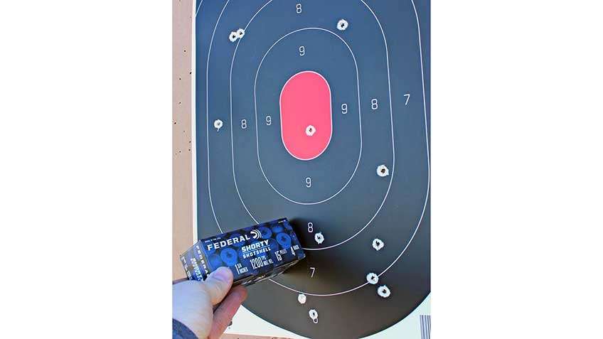 hand holding ammunition box shotshells buckshot target grouping