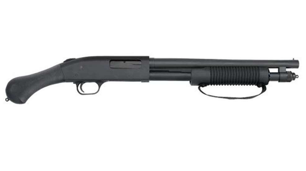 moss_lede_590-shockwave-600x140.jpg
