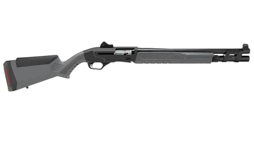 Savage Arms Renegauge Security