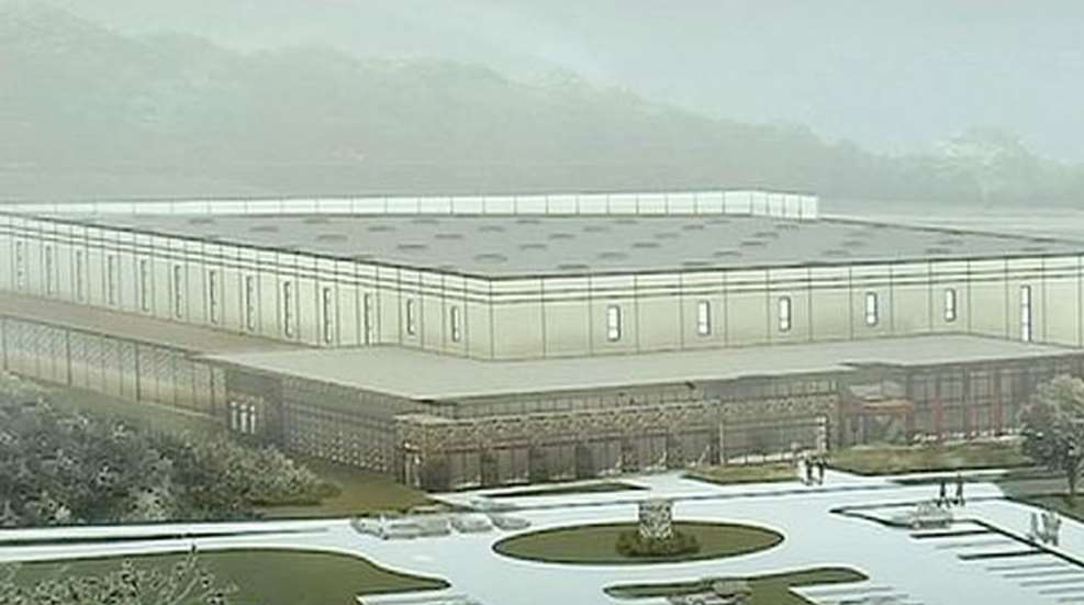 beretta-plant.jpg