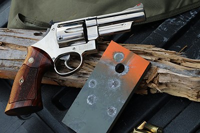 S&W Model 29