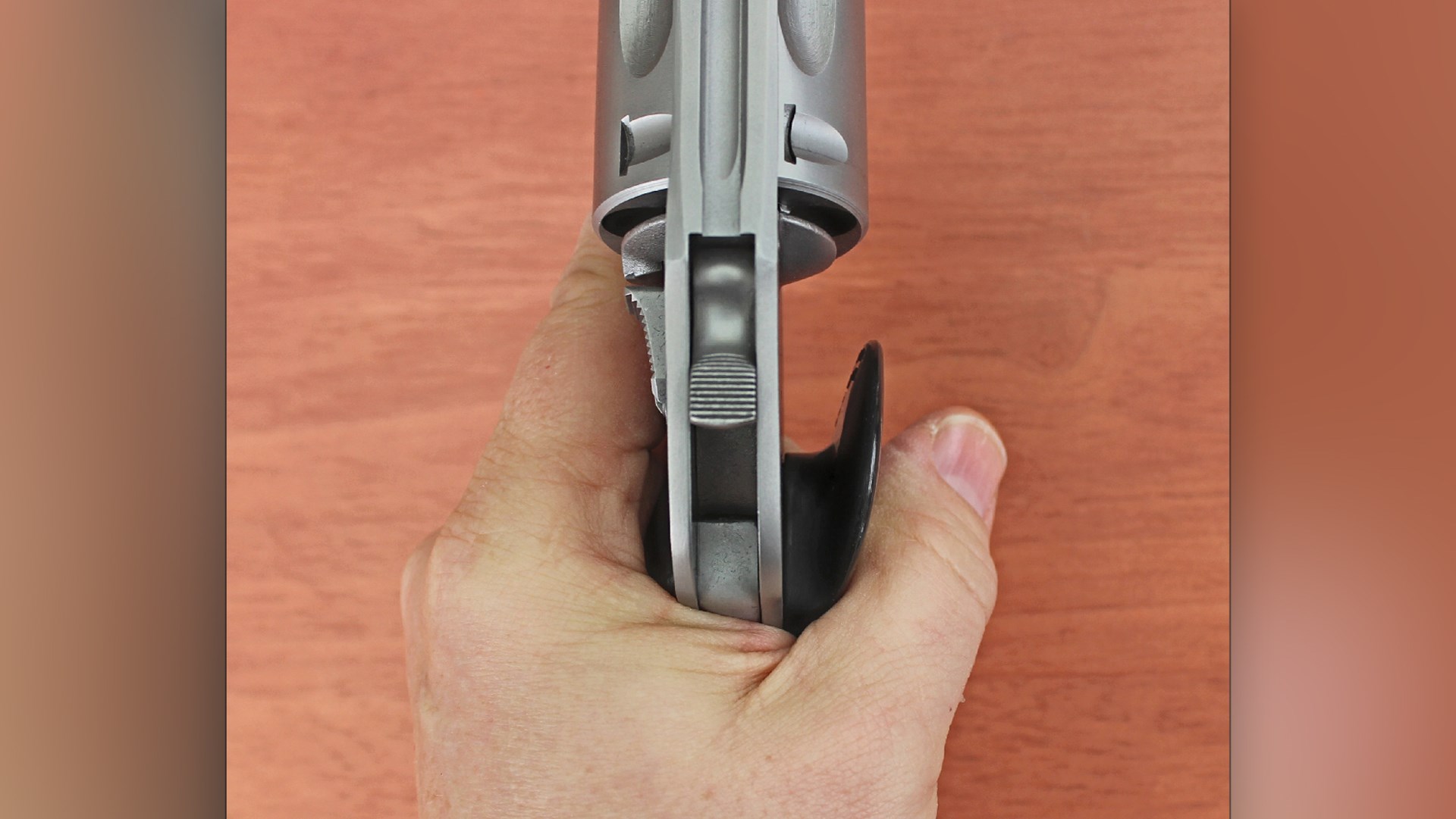gun pistol revolver overhead image of charter arms bulldog 44 in left hand