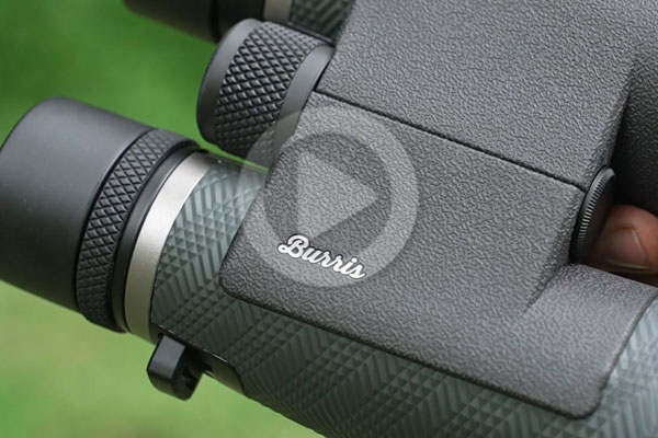 #SundayGunday: Burris Signature HD 15x56mm Binocular