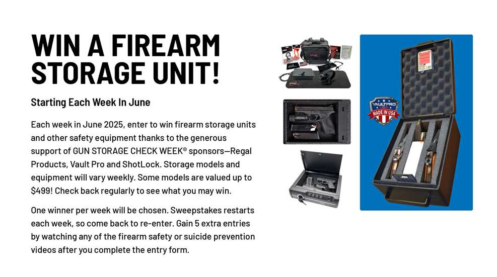 Gun Storage Check 3