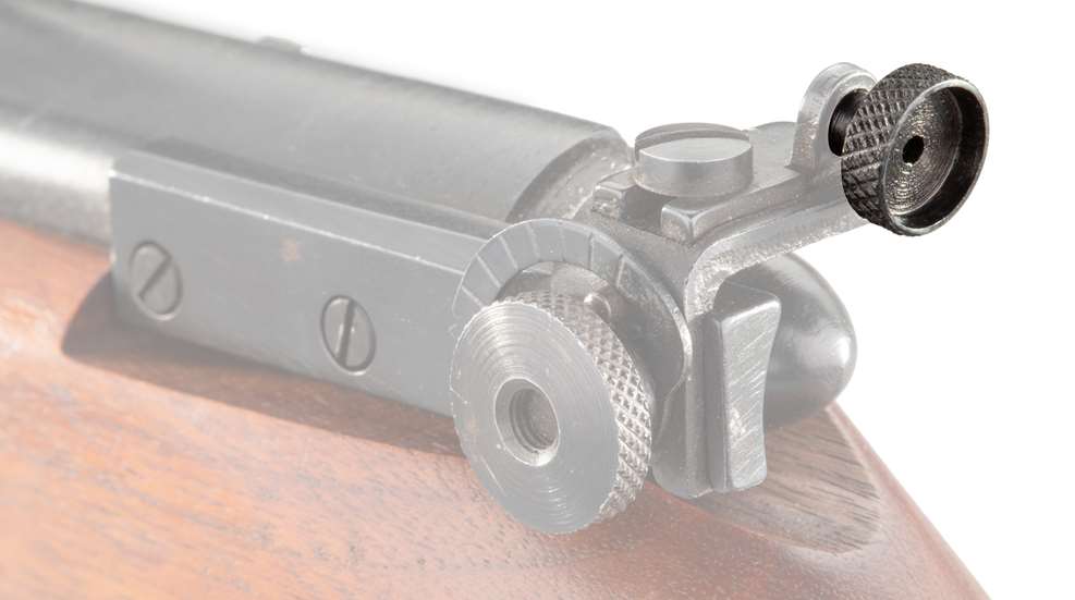 Rear Sight Replacement