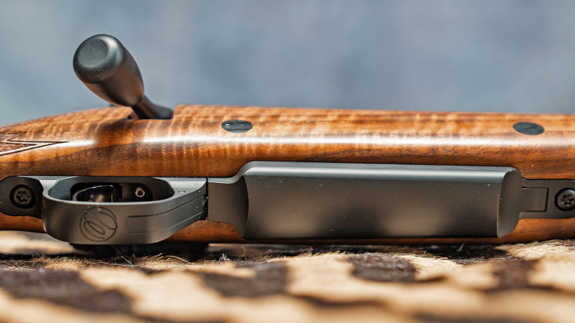 Underside of the Weatherby Mark V dangerous game rifle.