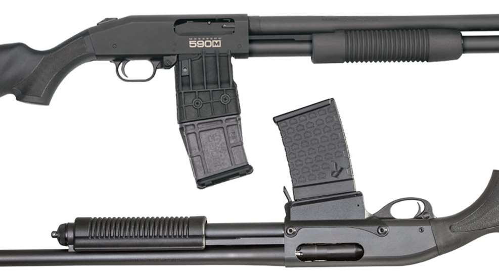 guns.jpg