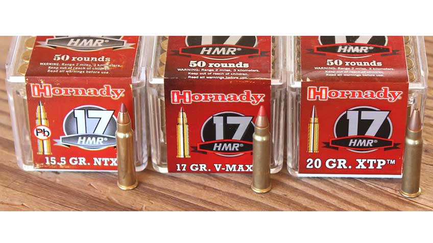 A selection of .17 HMR Hornady ammunition in a row showing various bullet types and grain weights the company has to offfer.