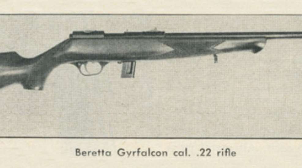 201052715719-gyrfalcon_fs.jpg