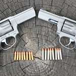 002 942P Pair Ammo 01