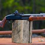 Woox High Grade stock and fore-end