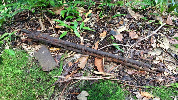 An M1 Garand rifle that the author found on the Battle of Peleliu Jungle Trail during a visit there on March 28, 2017.