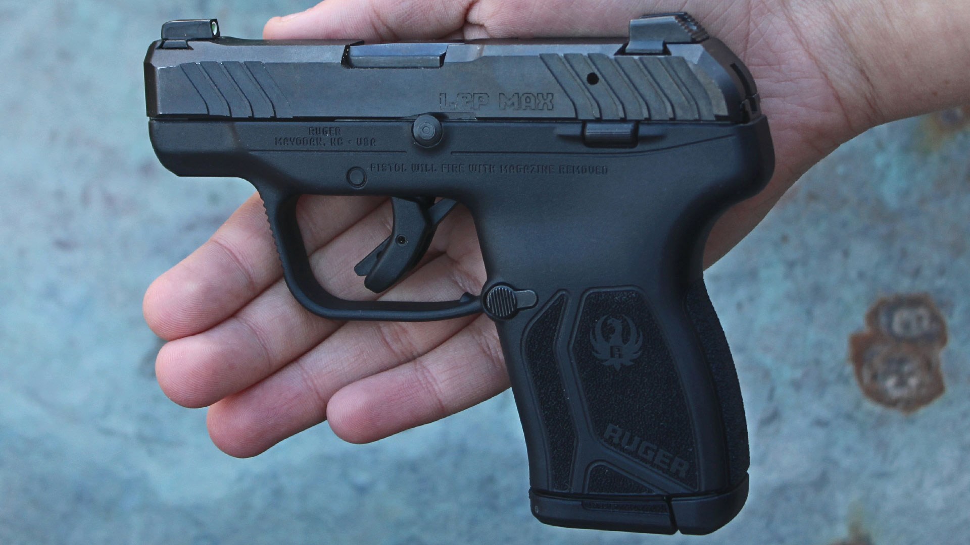 Ruger LCP Max pistol handgun in hand left side view black gun