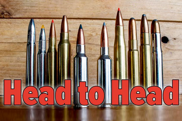Head to Head: Common vs. Obscure Hunting Cartridges