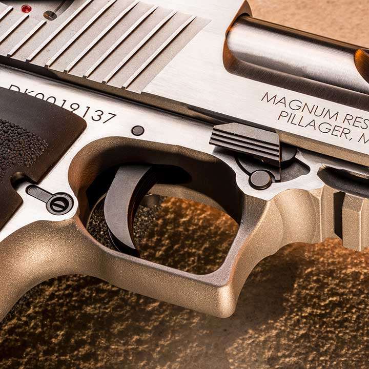 Review: Magnum Research Desert Eagle 429 DE