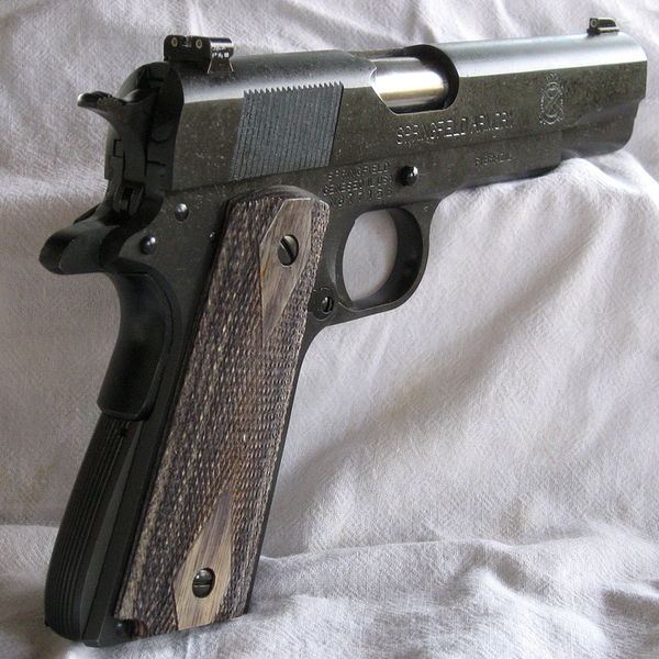 Older Springfield Armory