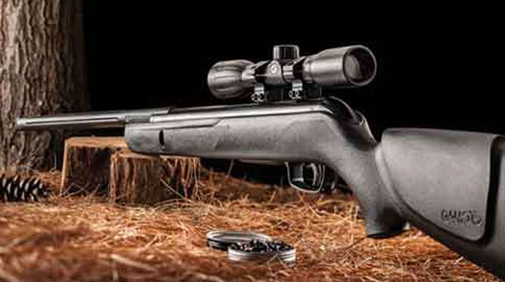 gamo_buckmasters1.jpg