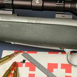 How Accurate are Today’s Rifles?