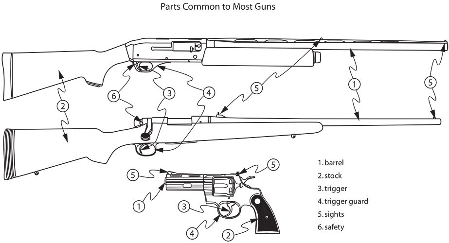 Parts Common to Most Guns