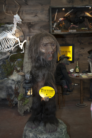 Some Unique Taxidermy