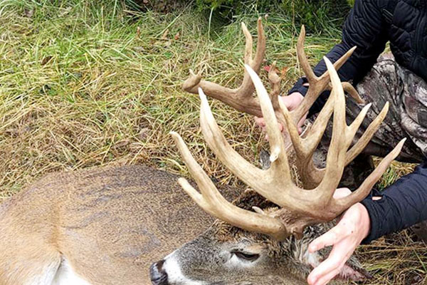 Boomstick Booners: Incredible Stories of Big Bucks