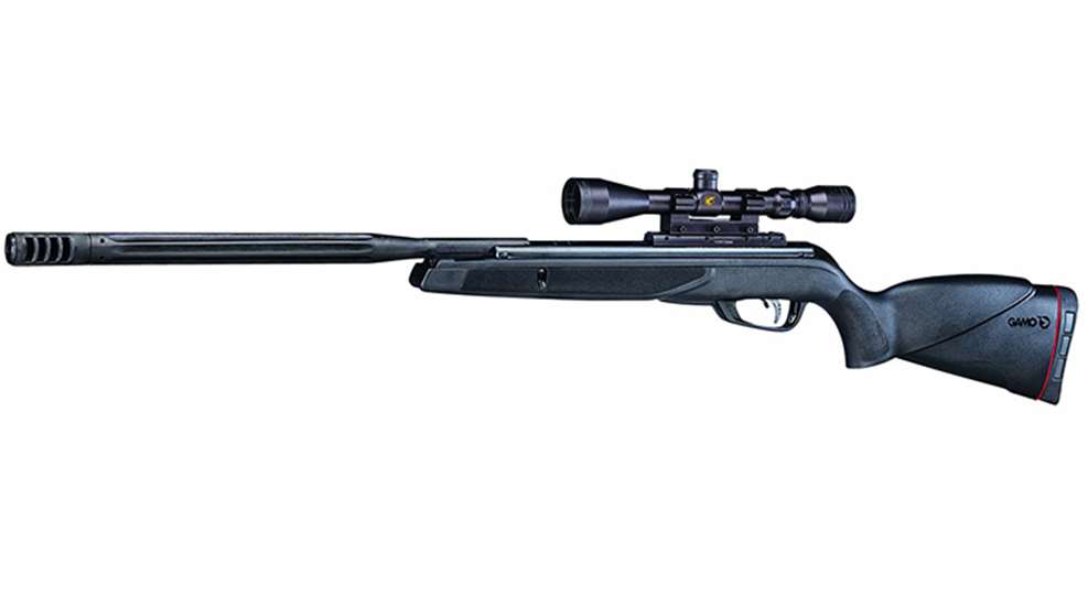 gamo_lede.jpg