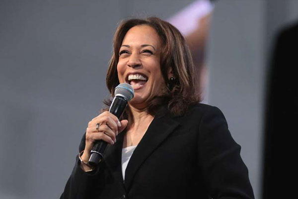 So Kamala Harris is the New Gun-Control Spokesperson?