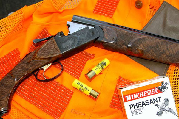 When It Comes To Shotguns, Make Mine A Double