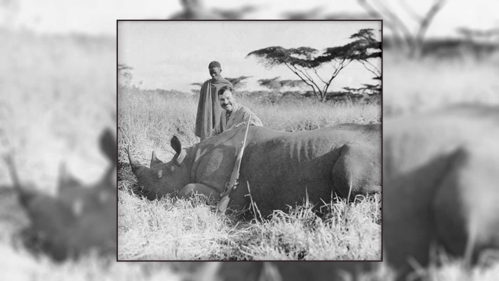 two men rhino gun rifle sahara africa tree outdoors plains grass