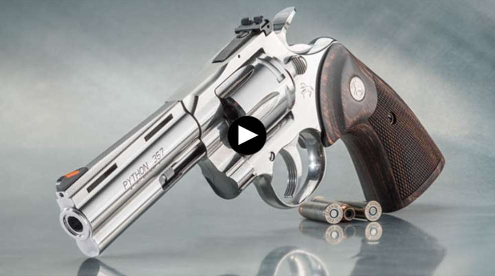 colt-python.jpg